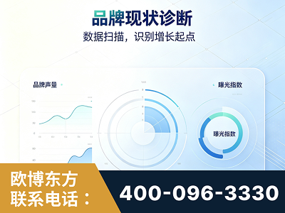 连州-品牌现状诊断