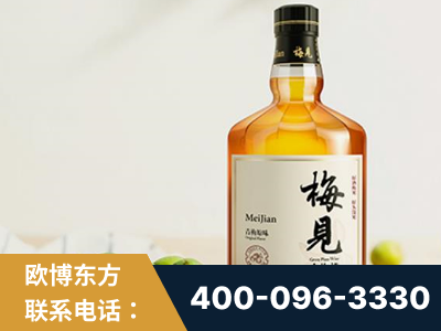 连州-梅见青梅酒